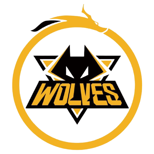 带来了新的 带来了新的