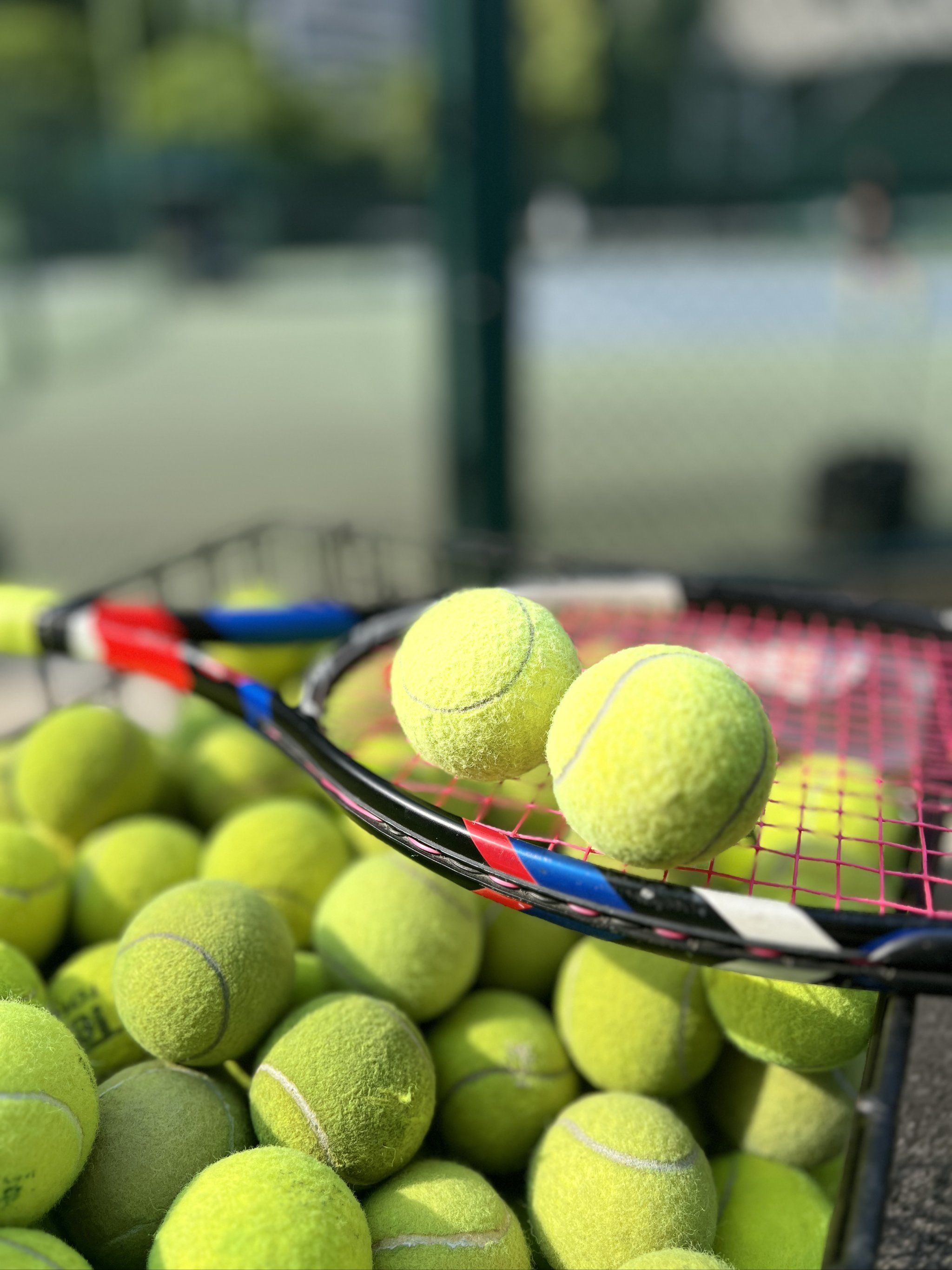 化学反应 化学反应